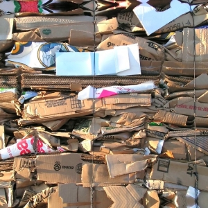Photo of Clean Collection
