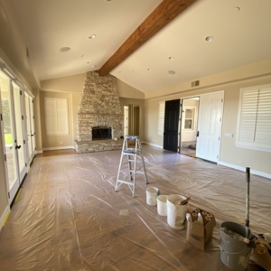 Photo of Exacto Line Painting