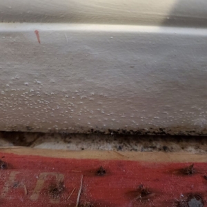 Photo of Clean Steam Carpet Cleaning