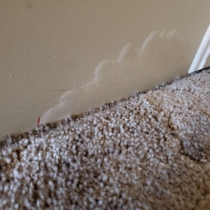 Photo of Clean Steam Carpet Cleaning
