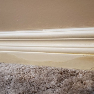 Photo of Clean Steam Carpet Cleaning