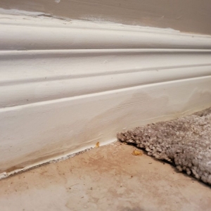 Photo of Clean Steam Carpet Cleaning
