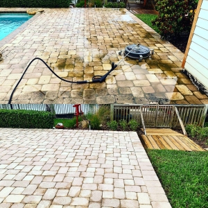 Photo of Green Thumbs Lawn Services