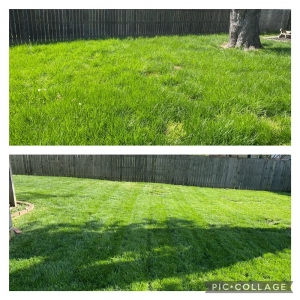 Photo of Corso Lawn Care Services