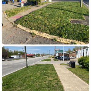 Photo of Corso Lawn Care Services