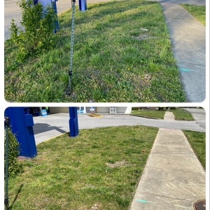Photo of Corso Lawn Care Services