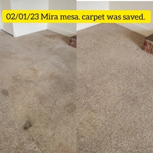 Photo of A&A Professional Carpet and Tile Cleaning