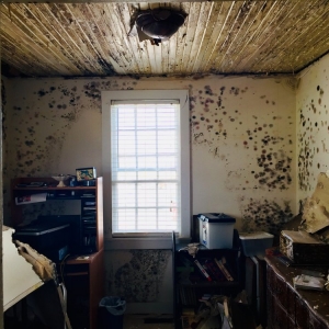 Photo of Kingsley Water Damage Restoration