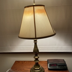 Photo of The Lamp Shader