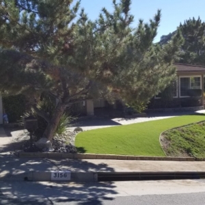 Haltom City Bryan's Landscaping
