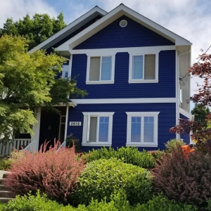 Seattle Aldo Victory Pro Painting