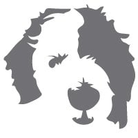 Photo of The Sheepdog Group