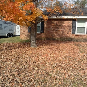 Photo of DM's Landscape and Lawn Care Maintenance