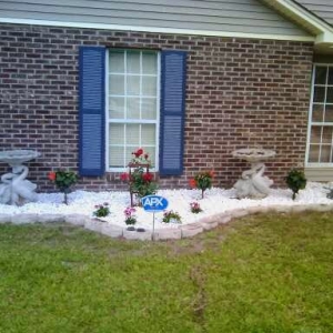 Photo of DM's Landscape and Lawn Care Maintenance
