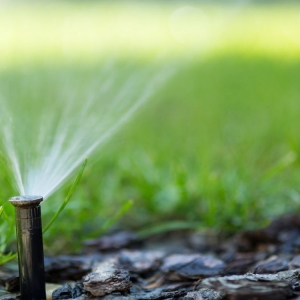 Photo of DM's Landscape and Lawn Care Maintenance
