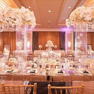 Photo of Vachi Design