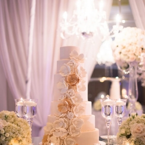 Photo of Vachi Design