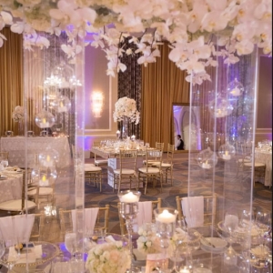 Photo of Vachi Design