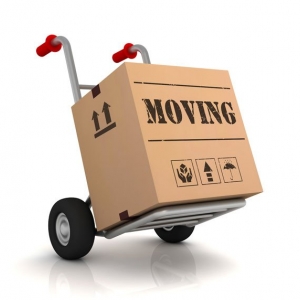 Photo of Mini Man Moving & Services