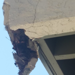 Photo of Sunny Coast Stucco