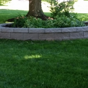 Photo of Genuine Lawn Care