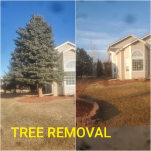 Photo of Positive Property Services