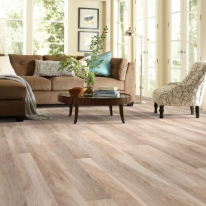 Photo of Edwards Carpet