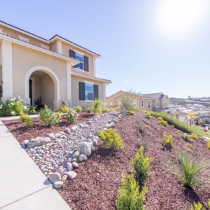 Photo of Neda Yegan - Keller Williams Realty