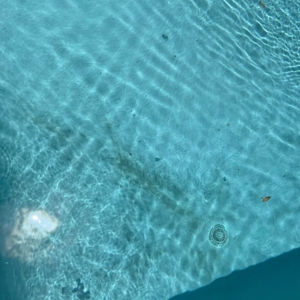 Photo of Ocean Blue Pools