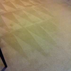 Photo of Peachtree Absolute carpet care