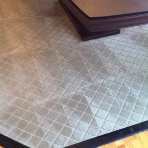 Photo of Peachtree Absolute carpet care