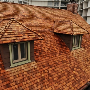 Photo of Ozone Roofing