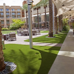 Photo of Artificial Grass Arizona