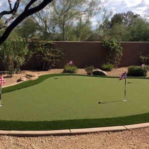 Photo of Artificial Grass Arizona