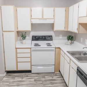 Photo of Cedar Springs Apartments
