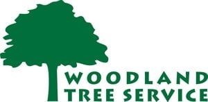 Photo of Woodland Tree Service