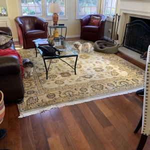 Photo of Mark It Clean Carpet & Upholstery Cleaning