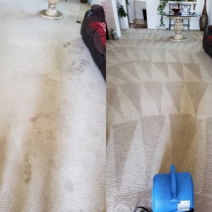 Photo of Mark It Clean Carpet & Upholstery Cleaning