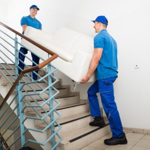 Photo of Elite moving services