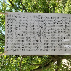 Austin Pamba Towels