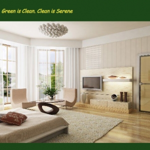 Photo of Eco-Friendly Green Cleaning