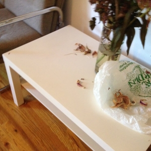Photo of Eco-Friendly Green Cleaning