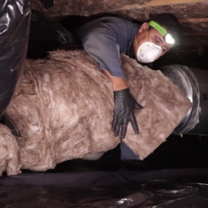 Photo of Clean Crawls - Insulation Install & Removal: Bellevue