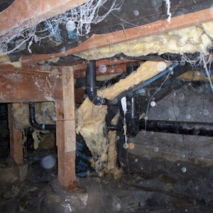 Photo of Clean Crawls - Insulation Install & Removal: Bellevue