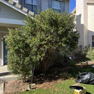 Photo of Home Helper