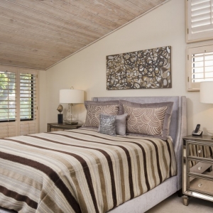 San Diego Modern Vintage Mix