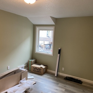 Portland Kola Pro Painting