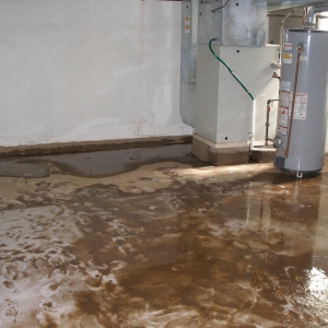Photo of Carpet Technology Cleaning Systems