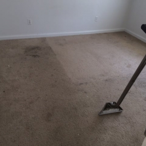 Photo of Without Spot or Blemish Carpet Cleaners