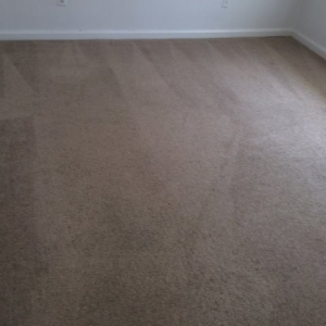 Photo of Without Spot or Blemish Carpet Cleaners